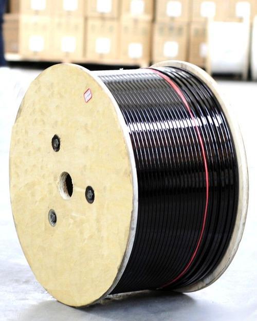 ������⣩����